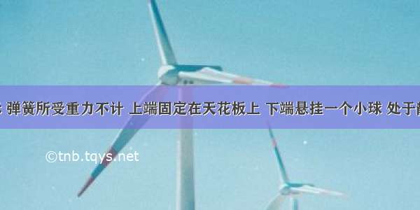 如图所示 弹簧所受重力不计 上端固定在天花板上 下端悬挂一个小球 处于静止状态．