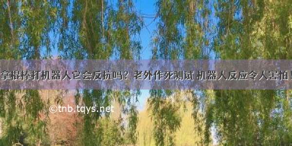 拿棍棒打机器人它会反抗吗？老外作死测试 机器人反应令人害怕！