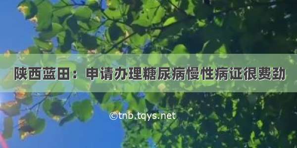 陕西蓝田：申请办理糖尿病慢性病证很费劲