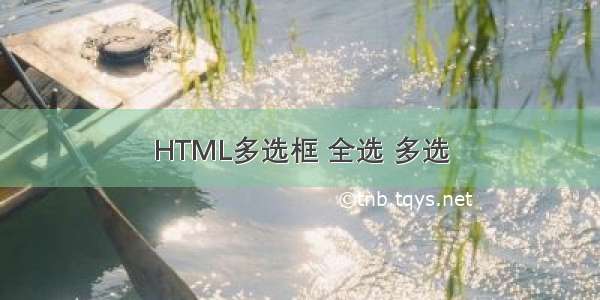 HTML多选框 全选 多选