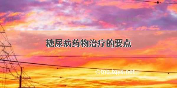 糖尿病药物治疗的要点