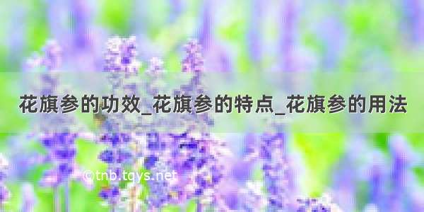 花旗参的功效_花旗参的特点_花旗参的用法