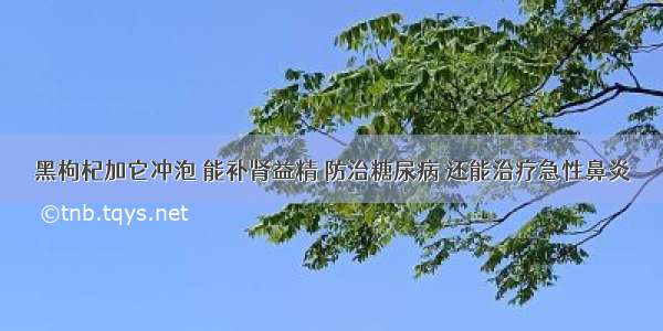 黑枸杞加它冲泡 能补肾益精 防治糖尿病 还能治疗急性鼻炎