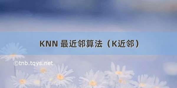 KNN 最近邻算法（K近邻）