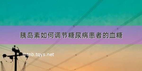 胰岛素如何调节糖尿病患者的血糖