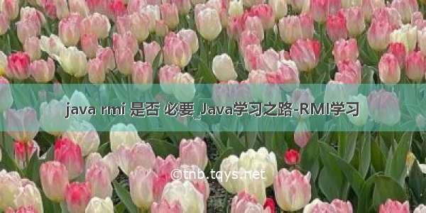 java rmi 是否 必要_Java学习之路-RMI学习
