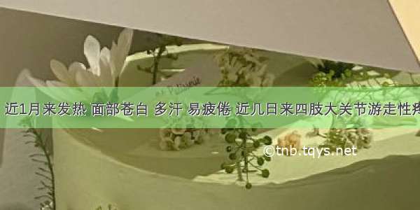 患儿4岁 近1月来发热 面部苍白 多汗 易疲倦 近几日来四肢大关节游走性疼痛 为确