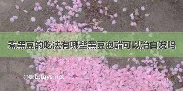 煮黑豆的吃法有哪些黑豆泡醋可以治白发吗