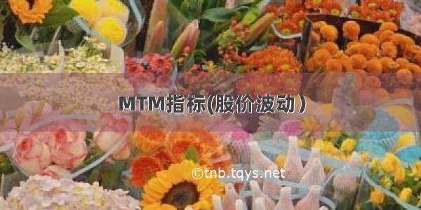 MTM指标(股价波动）