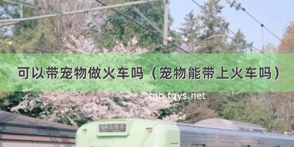 可以带宠物做火车吗（宠物能带上火车吗）