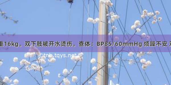 男孩 3岁 体重16kg。双下肢被开水烫伤。查体：BP85/60mmHg 烦躁不安 双下肢（包括