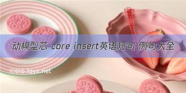 动模型芯 core insert英语短句 例句大全