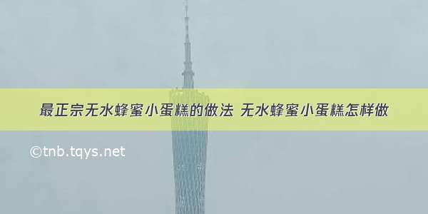 最正宗无水蜂蜜小蛋糕的做法 无水蜂蜜小蛋糕怎样做