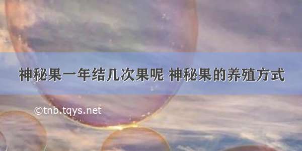 神秘果一年结几次果呢 神秘果的养殖方式