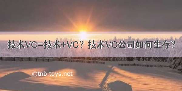 技术VC=技术+VC？技术VC公司如何生存？