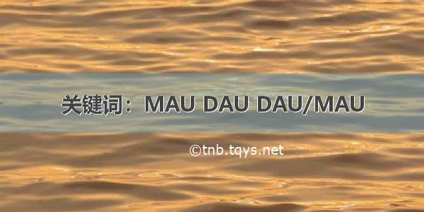 关键词：MAU DAU DAU/MAU