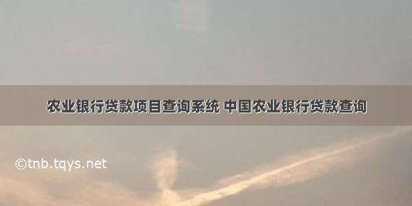 农业银行贷款项目查询系统 中国农业银行贷款查询