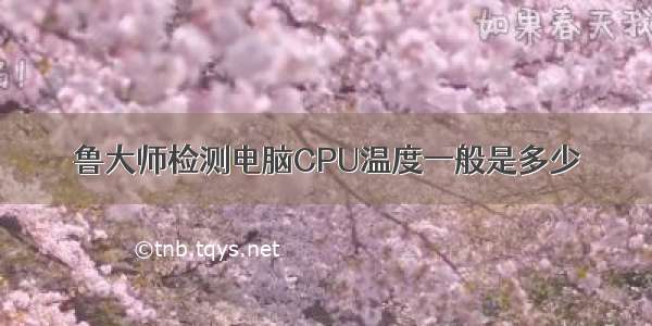 鲁大师检测电脑CPU温度一般是多少