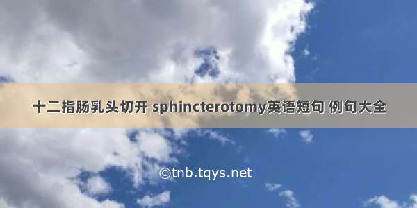 十二指肠乳头切开 sphincterotomy英语短句 例句大全