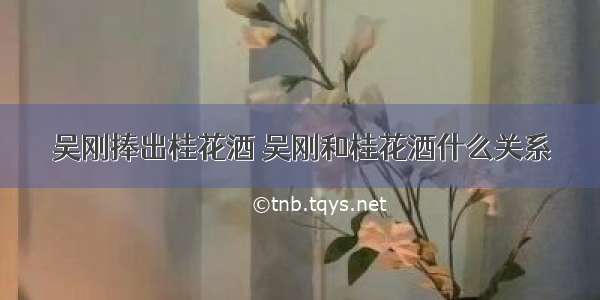 吴刚捧出桂花酒 吴刚和桂花酒什么关系