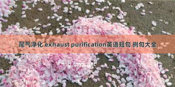 尾气净化 exhaust purification英语短句 例句大全