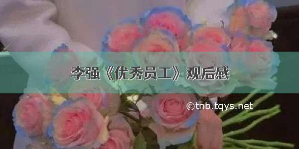 李强《优秀员工》观后感