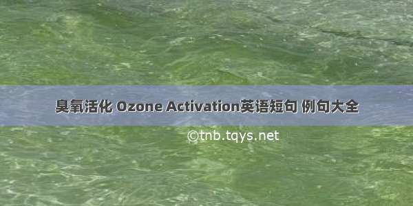 臭氧活化 Ozone Activation英语短句 例句大全