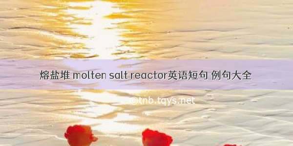 熔盐堆 molten salt reactor英语短句 例句大全