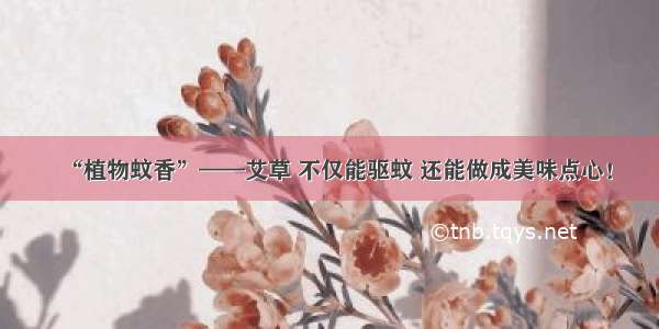 “植物蚊香”——艾草 不仅能驱蚊 还能做成美味点心！