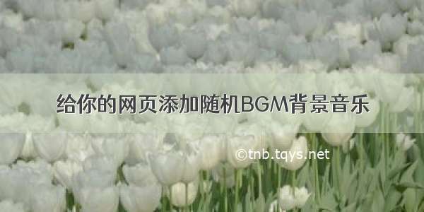 给你的网页添加随机BGM背景音乐