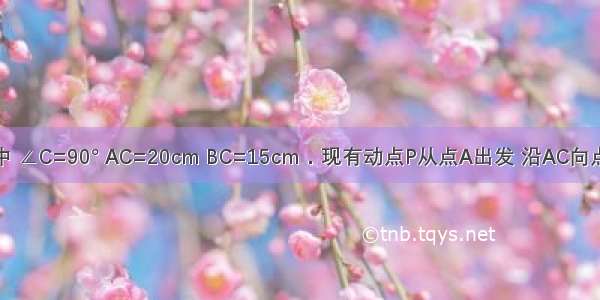 在Rt△ABC中 ∠C=90° AC=20cm BC=15cm．现有动点P从点A出发 沿AC向点C方向运动 