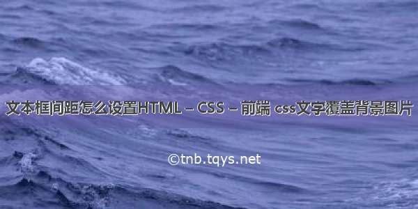 文本框间距怎么设置HTML – CSS – 前端 css文字覆盖背景图片