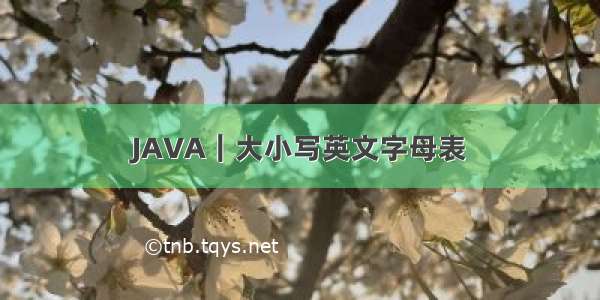 JAVA｜大小写英文字母表