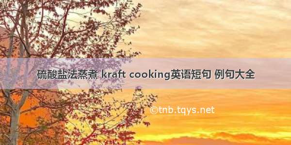 硫酸盐法蒸煮 kraft cooking英语短句 例句大全