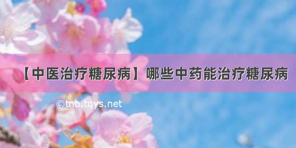 【中医治疗糖尿病】哪些中药能治疗糖尿病