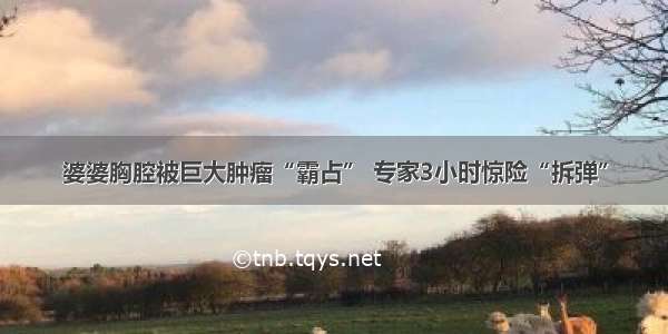 婆婆胸腔被巨大肿瘤“霸占” 专家3小时惊险“拆弹”