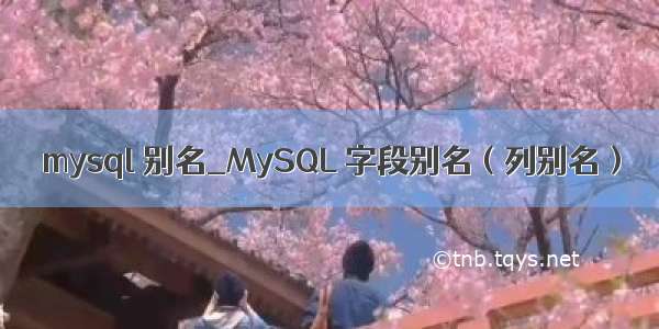 mysql 别名_MySQL 字段别名（列别名）