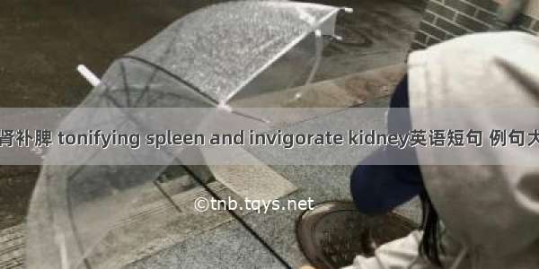 滋肾补脾 tonifying spleen and invigorate kidney英语短句 例句大全