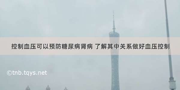 控制血压可以预防糖尿病肾病 了解其中关系做好血压控制