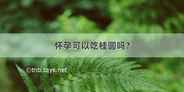 怀孕可以吃桂圆吗？