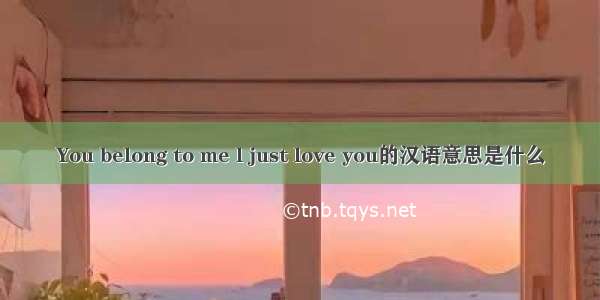 You belong to me l just love you的汉语意思是什么