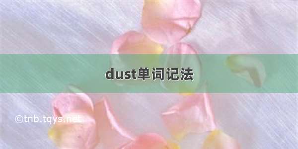 dust单词记法