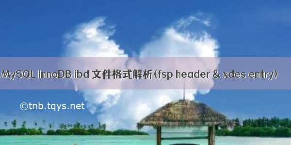 MySQL InnoDB ibd 文件格式解析(fsp header & xdes entry)