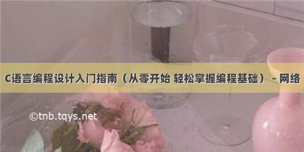 C语言编程设计入门指南（从零开始 轻松掌握编程基础） – 网络