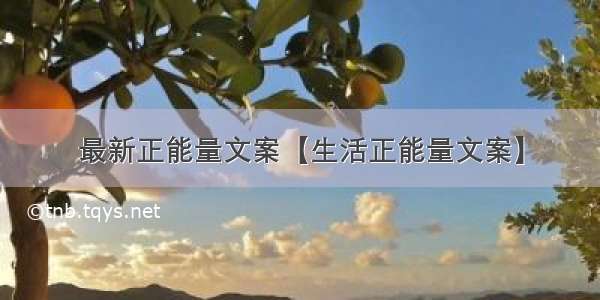 最新正能量文案【生活正能量文案】