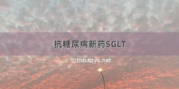 抗糖尿病新药SGLT