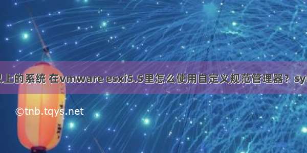 win以上的系统 在vmware esxi5.5里怎么使用自定义规范管理器？sysprep