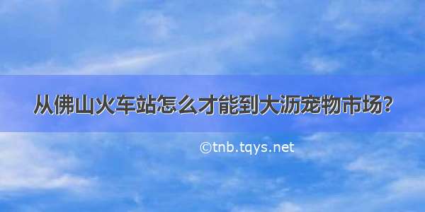 从佛山火车站怎么才能到大沥宠物市场？