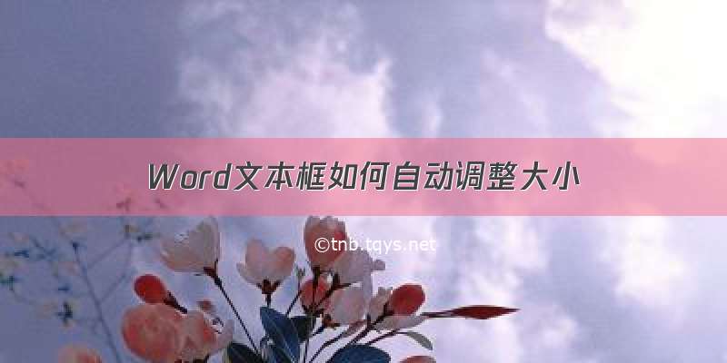 Word文本框如何自动调整大小