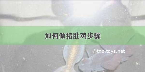 如何做猪肚鸡步骤